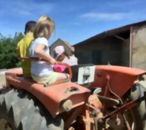 photo Les enfants à la ferme