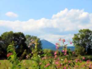 photo La nature en fête