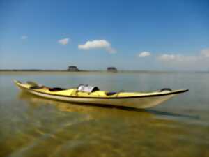photo Kayak de mer à l'île aux oiseaux ou à la dune du Pilat
