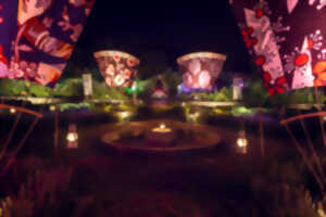 photo Féeries nocturnes au jardin