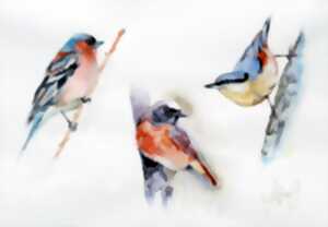 photo Stages d'aquarelle avec Sofia Johannissen 