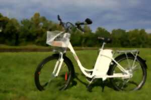 Location vélo à assistance électrique - Camping du Canal