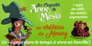 photo Les enquêtes d'Anne Mesia au château de Meung sur Loire