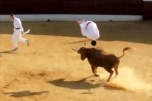 Course landaise