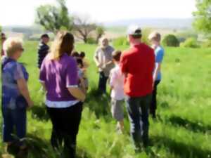 photo Balade paysagère à vélo : Les richesses naturelles d'un héritage pétrolier