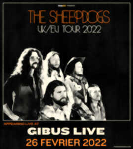 photo THE SHEEPDOGS