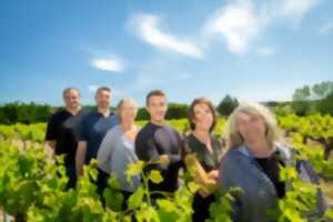 Balade vigneronne au Château des Coccinelles