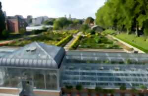 photo Rendez-vous aux jardins : « Jardins de pierres, pierres de jardins »