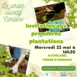 photo Invitation aux premières plantations - Le jardin collectif Carlane