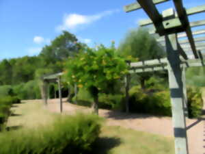 photo Visite guidée thématique du Jardin des Arbres 