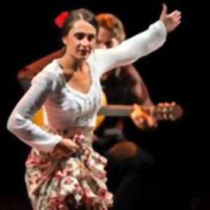 photo Spectacle de Flamenco