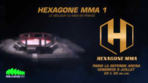 photo HEXAGONE MMA 1