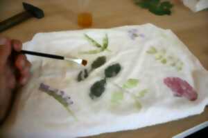 Sortie : Sur la piste des empreintes végétales