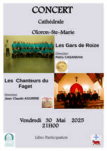 photo Concert : Les Gars de Roize et les Chanteurs du Faget