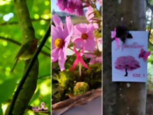 photo La Hohwaldoise - Marche rose