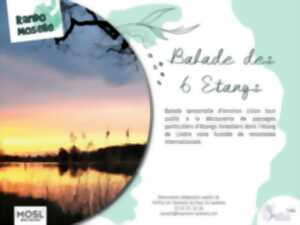RANDO MOSELLE : LA BALADE DES 6 ETANGS