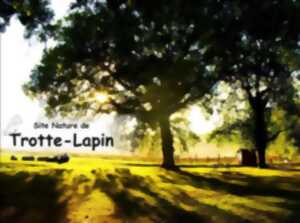 photo Trotte Lapin