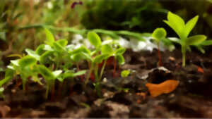 photo Exposition temporaire : le regard rêveur d'une nature trop souvent méconnue