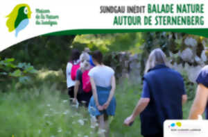photo Sundgau inédit - Balade nature autour de Sternenberg - À partir de 8 ans