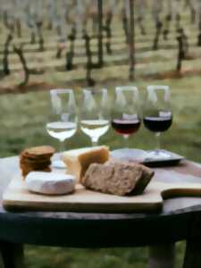 photo Découverte des accords vins et fromages