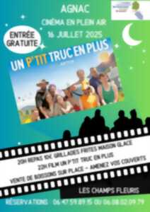 photo Cinéma en plein air - Un P'tit Truc en Plus