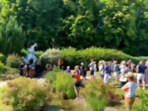 photo Festival météo