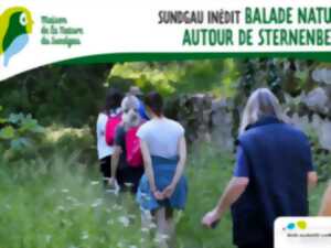 photo Sundgau inédit - Balade nature autour de Sternenberg - À partir de 8 ans