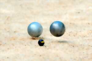 photo Concours de pétanque