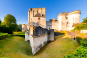 photo Visite thématique : « Un château-fort à la belle saison »