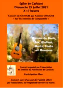 photo Concert de Guitare 