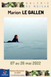 Exposition Marion Le Gallen / Galerie du Moïsan