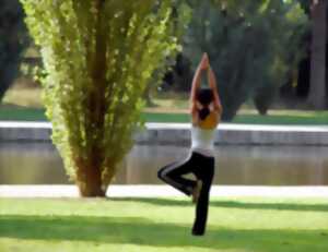 photo Stage Qi Gong pour stimuler les poumons et la médiation des 9 tours