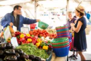 photo Marché hebdomadaire de St Hilaire d'Ozilhan