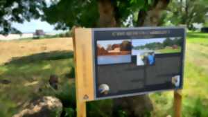 La Journée des Carrelets