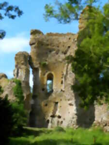 photo Visites commentées du château féodal de Fréteval
