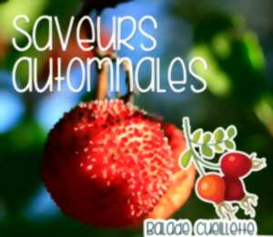 photo SAVEURS AUTOMNALES