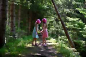 photo Balade contée Promenons-nous dans les bois