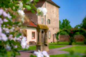photo Journées du Patrimoine - Jardin et Cloître de l'Abbatiale Saint-Cyriaque