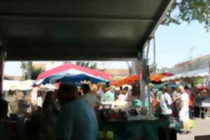 Marché traditionnel