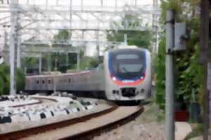 photo Le Train Historique de Toulouse : de Cahors au Château des Milandes