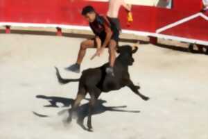 photo FERIA DE TEYRAN