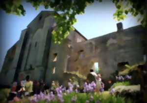 photo Journées Européennes du Patrimoine : Visite Libre de l’Église de l'Abbaye-Nouvelle