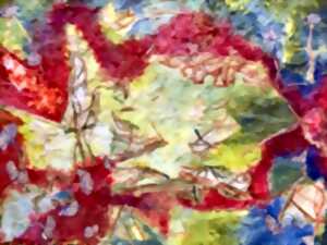 photo Exposition - La force de vivre