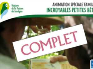 Incroyables petites bêtes