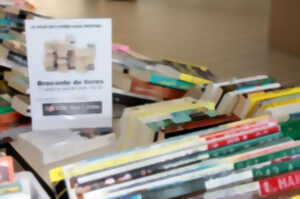 photo Brocante livres et vinyles