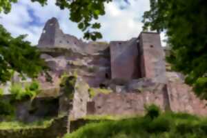 photo Visite guidée du château fort de Fleckenstein
