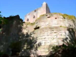 Découverte des vestiges d'un château du XIIIe siècle