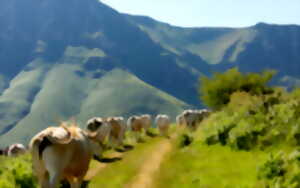 Fête de la Transhumance