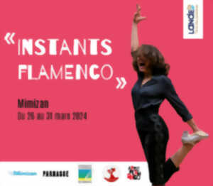 Instant Flamenco