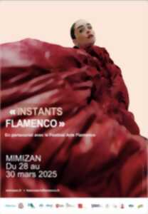 Instant Flamenco